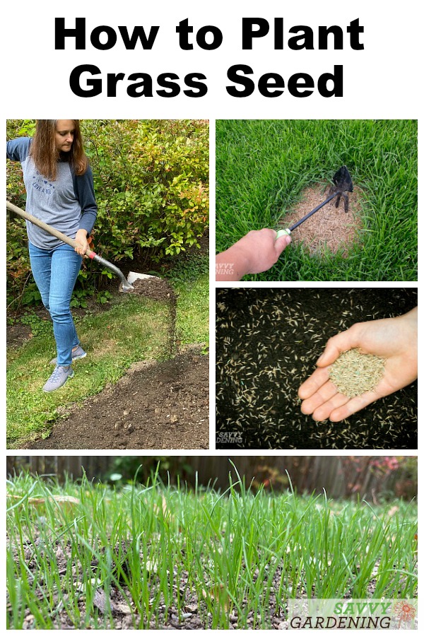 Effective Ways to Grow Grass in Your Yard: A Simple Guide for 2025