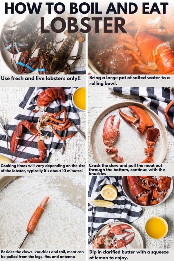 Essential Guide to How Long to Boil Lobster: Proven Timing for Perfect Results in 2025