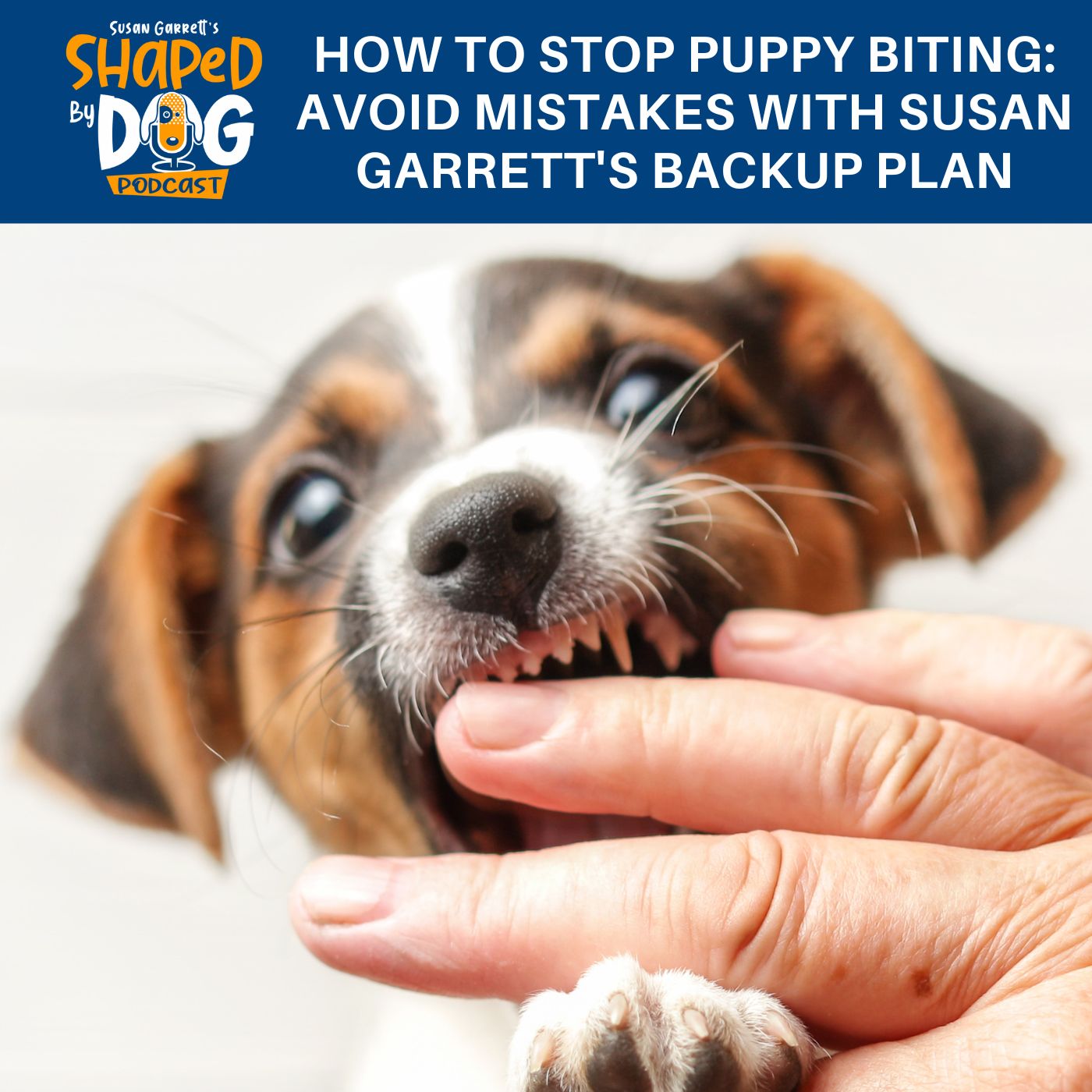 Effective Ways to Stop a Puppy from Biting: Proven Techniques for 2025