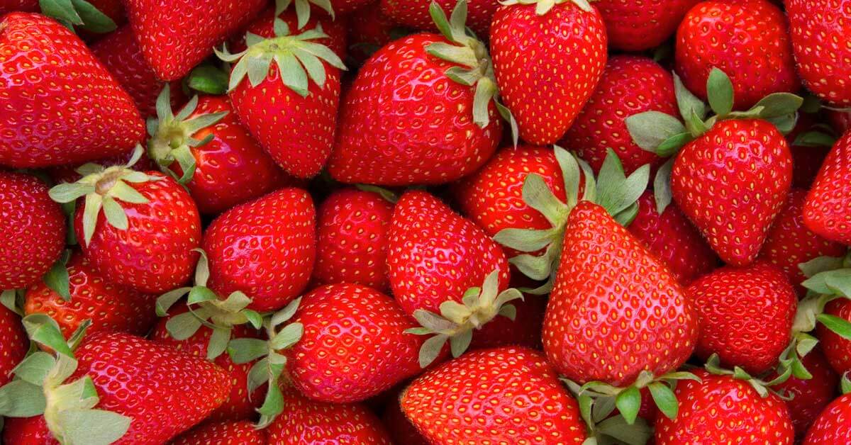 Making strawberries last longer tips