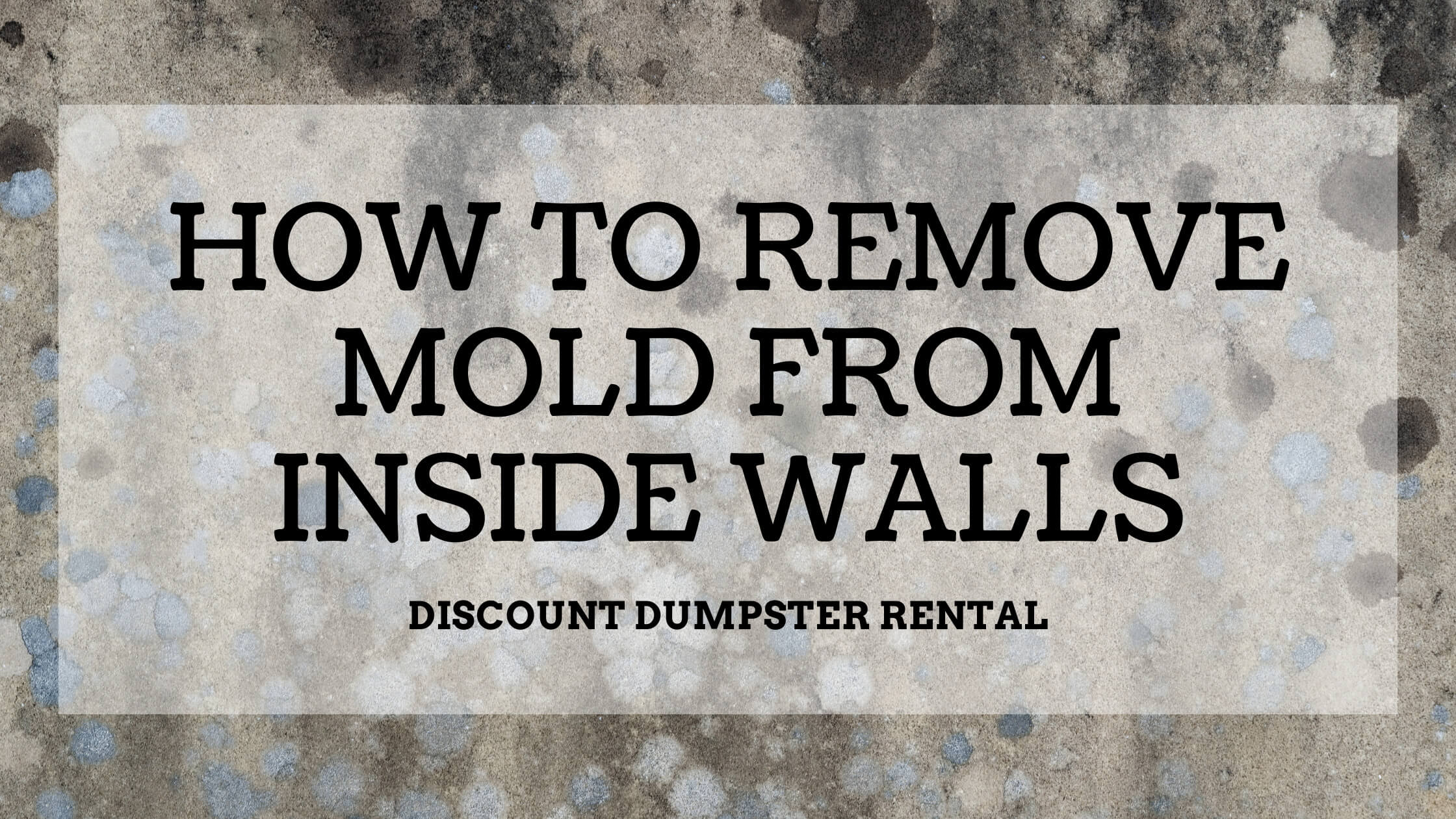 Effective Ways to Get Rid of Mold on Walls: Proven Solutions for a Mold-Free Home in 2025