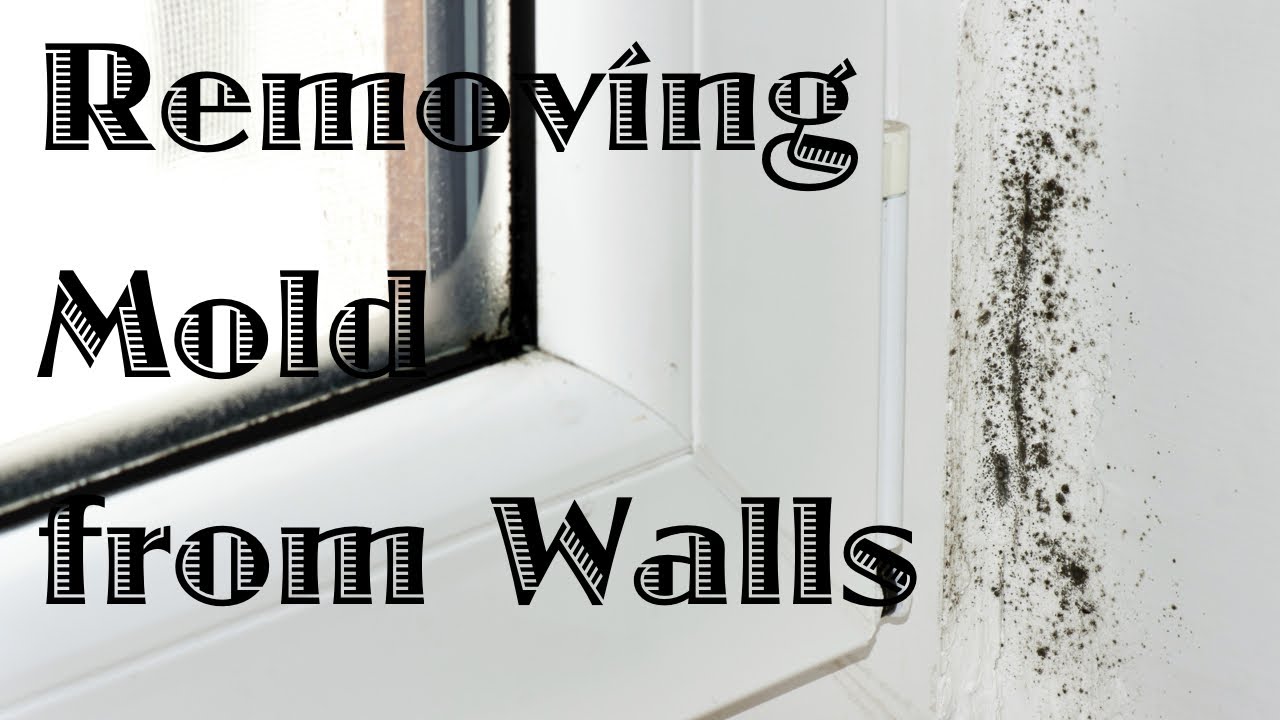 Mold removal process