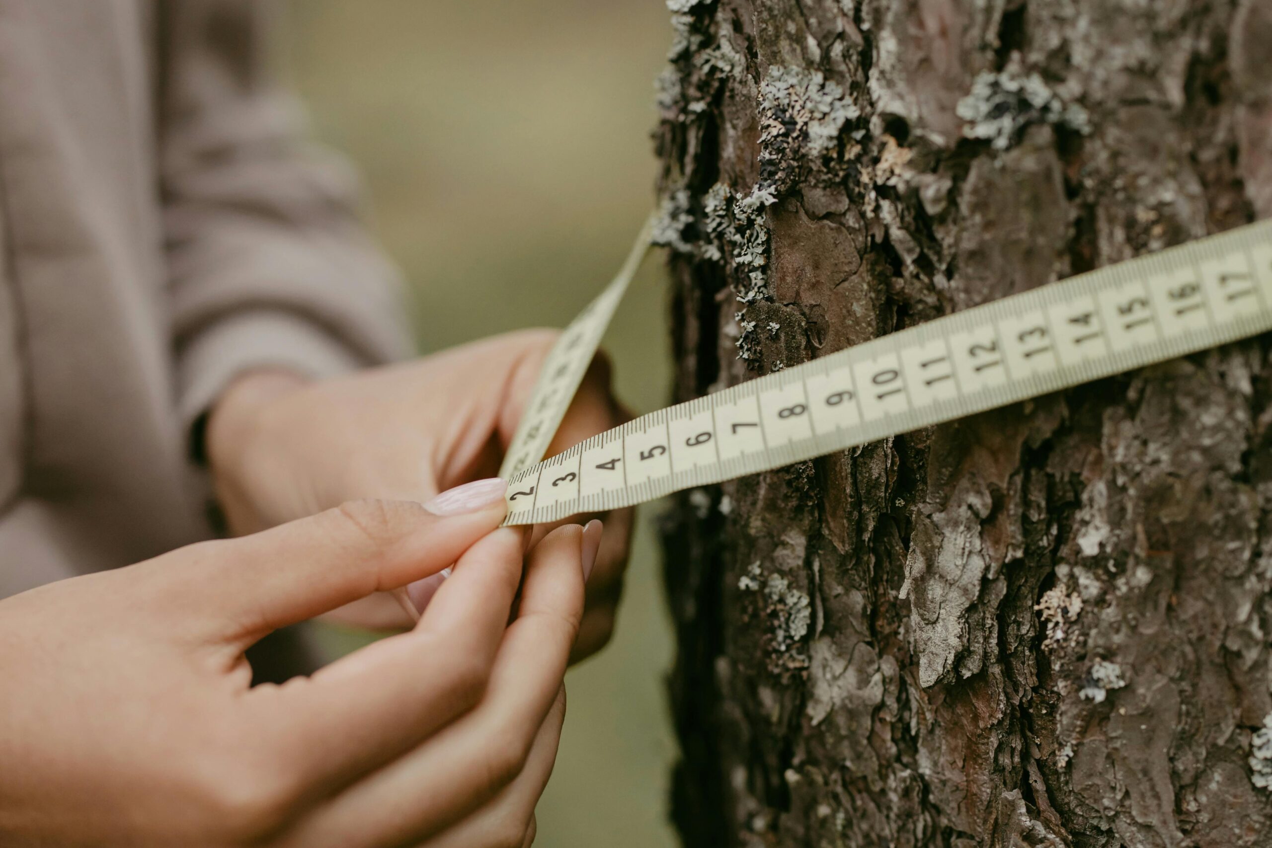 How to Effectively Find the Circumference of a Circle Using Diameter in 2025