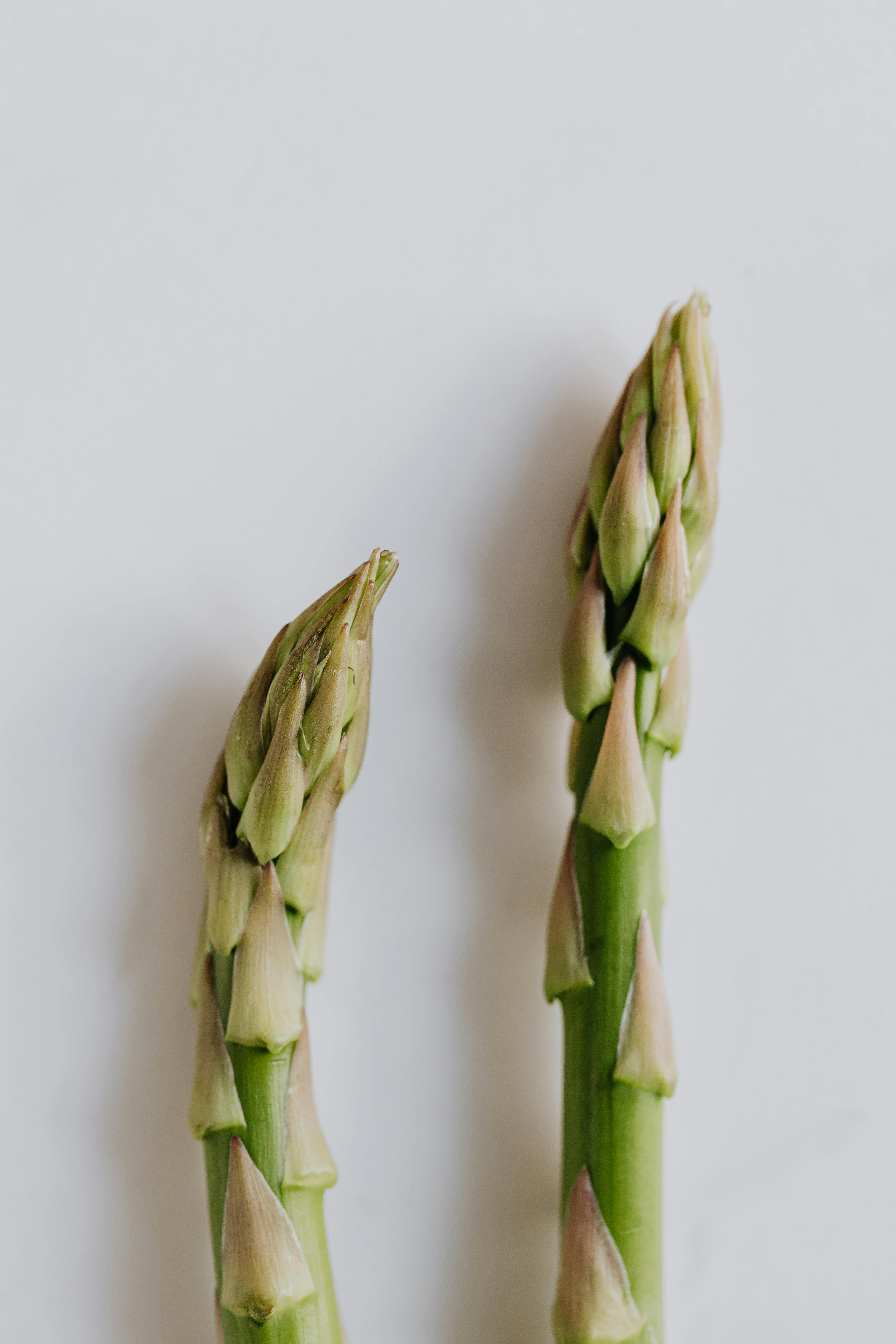 Air fried asparagus in air fryer